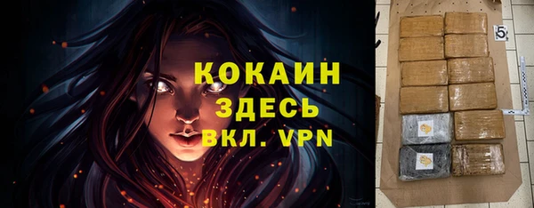 дживик Белоозёрский