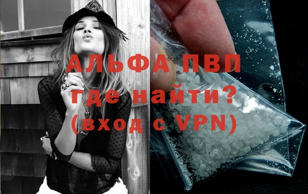 стафф Белокуриха