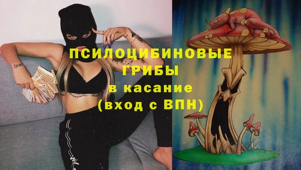 стафф Белокуриха
